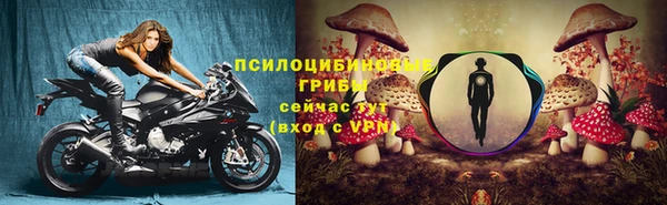 дживик Алексин