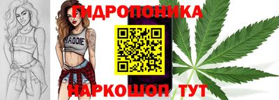 MDMA Новозыбков