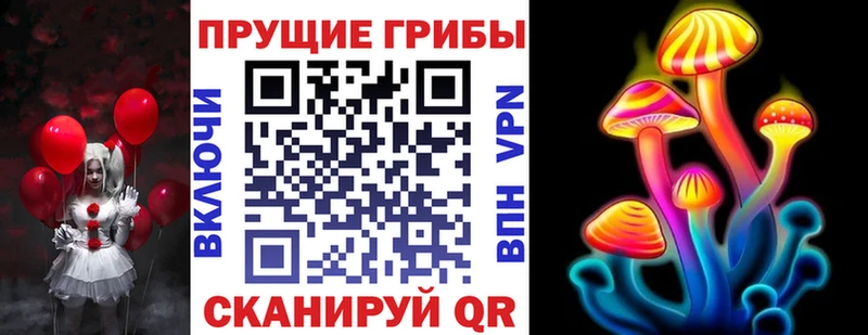Псилоцибиновые грибы Psilocybe  Узловая 