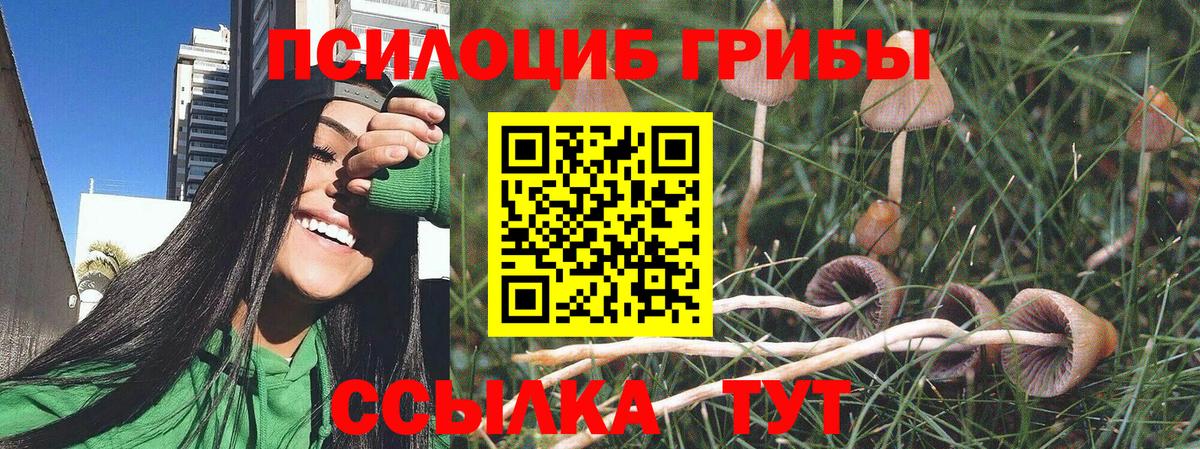 Псилоцибиновые грибы мухоморы Узловая