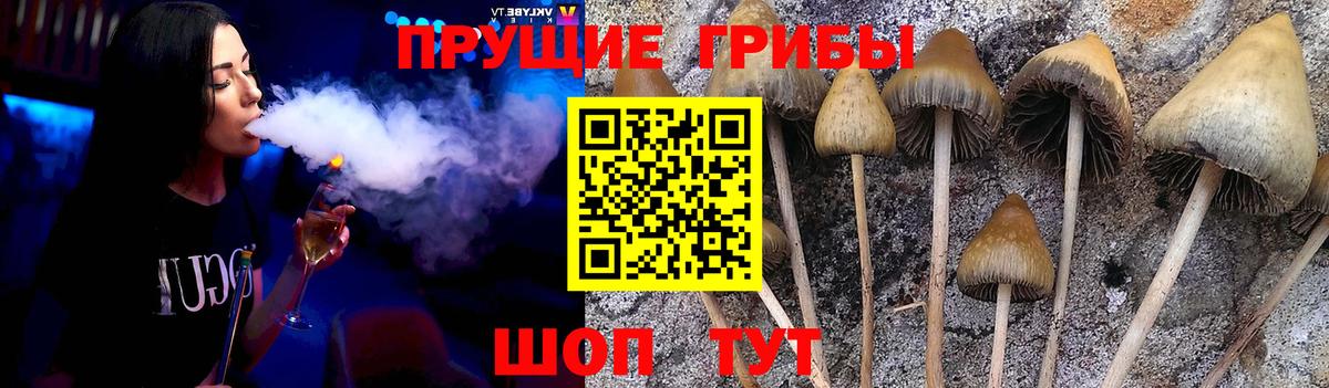 Узловая  Псилоцибиновые грибы GOLDEN TEACHER  продажа наркотиков  Вход с VPN 