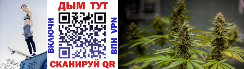 Каннабис OG Kush  что такое наркотик  Узловая 